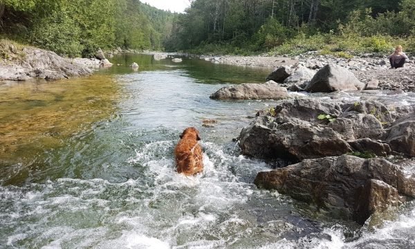 Réserve faunique de Port-Daniel (Sépaq) Gaspesie