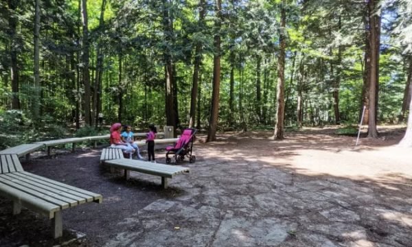 Réserve naturelle du Boisé-de-la-Marconi - Drummondville - Centre-du-Québec