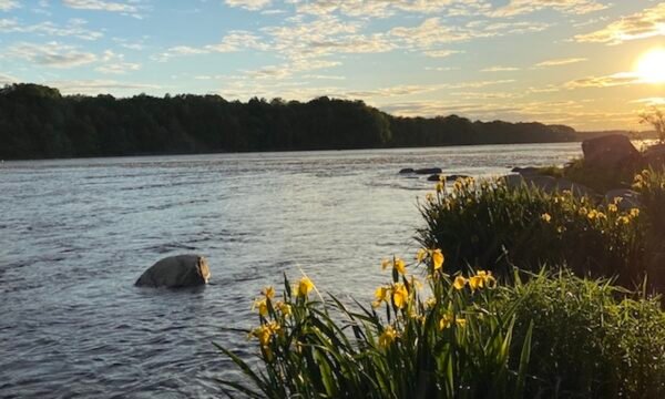 Rivière Saint-François