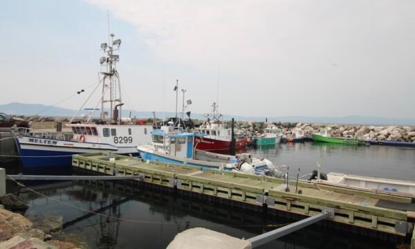 Saint-Georges-de-Malbaie - Gaspésie