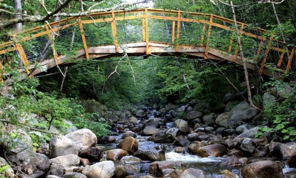 Sentier de la Forêt Marine - La Seigneurie-Charlevoix