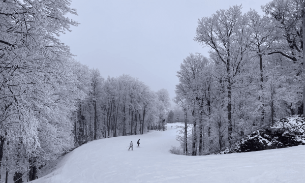 Ski Mont Saint-Bruno - Montérégie : Votre escapade alpin