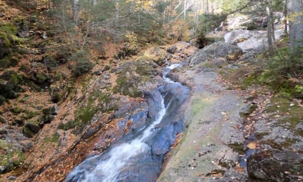 Toit-des-Laurentides