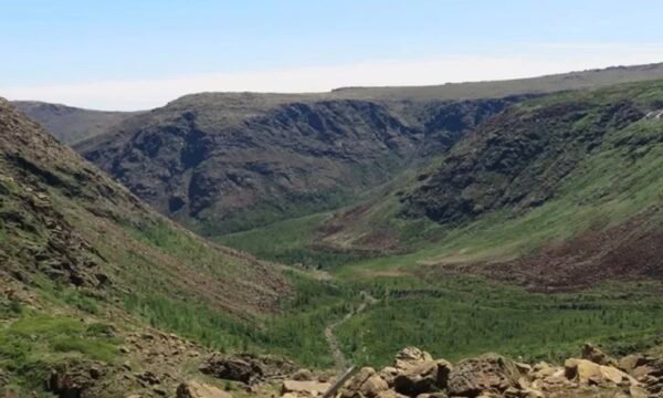 Tour Mont-Albert - Gaspésie
