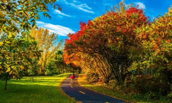 Ville de Brossard-Destination Montreal