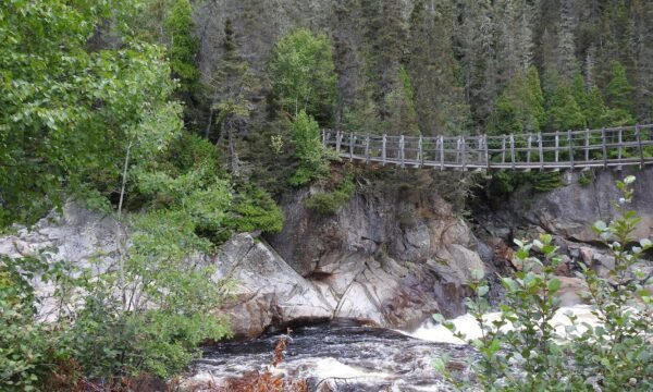 ZEC des rivières Godbout et Mistassini, Côte-Nord / Manicouagan