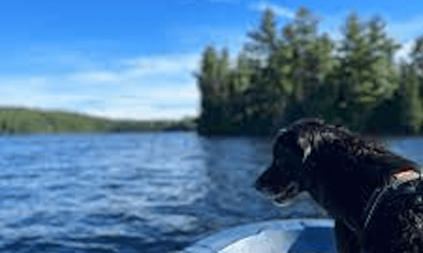 Zec Bras-Coupé-Désert