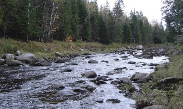 Zec St-Romain – La route des sommets